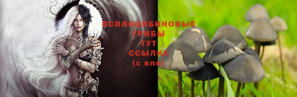 мет Надым
