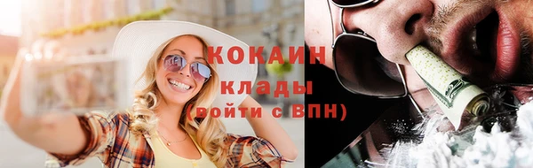 сатива Нефтекумск