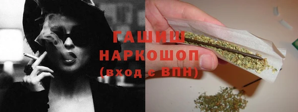 сатива Нефтекумск