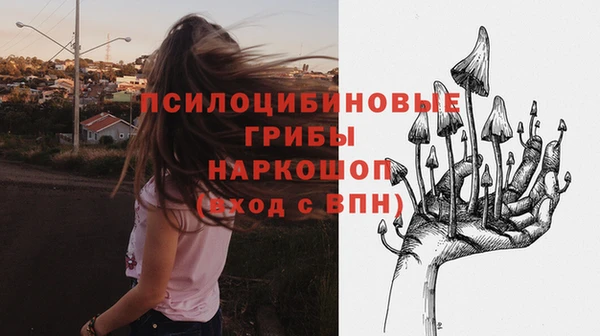 дживик Нефтегорск