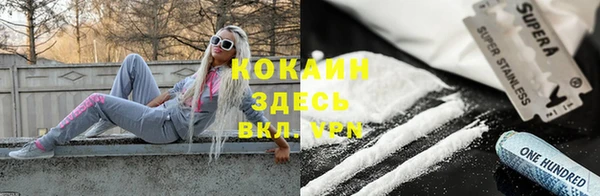 сатива Нефтекумск